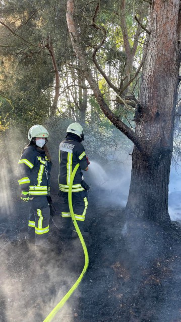 Das hätte schlimmer ausgehen können, Foto: Freiwillige Feuerwehr Heiligendorf